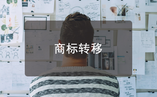 企業(yè)注銷后使用企業(yè)為主體申請(qǐng)的商標(biāo)還能用嗎?