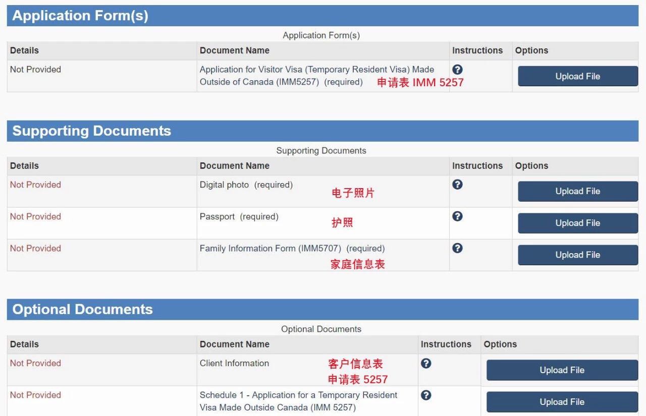 加拿大簽證手把手教學，再不會就過分了29