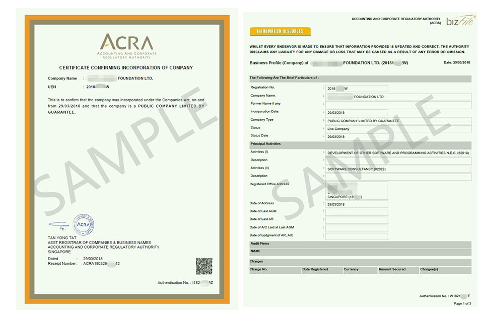 注冊新加坡公眾公司2