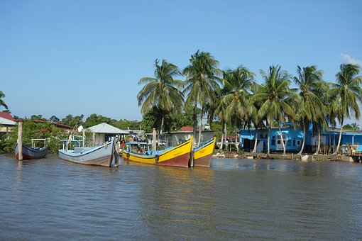 蘇里南對中國免簽，蘇里南海關(guān)規(guī)定解讀1